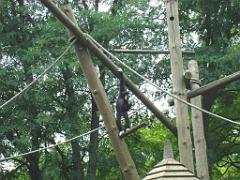 149 BIO PARC DE DOUE LA FONTAINE 5- 2016_000028